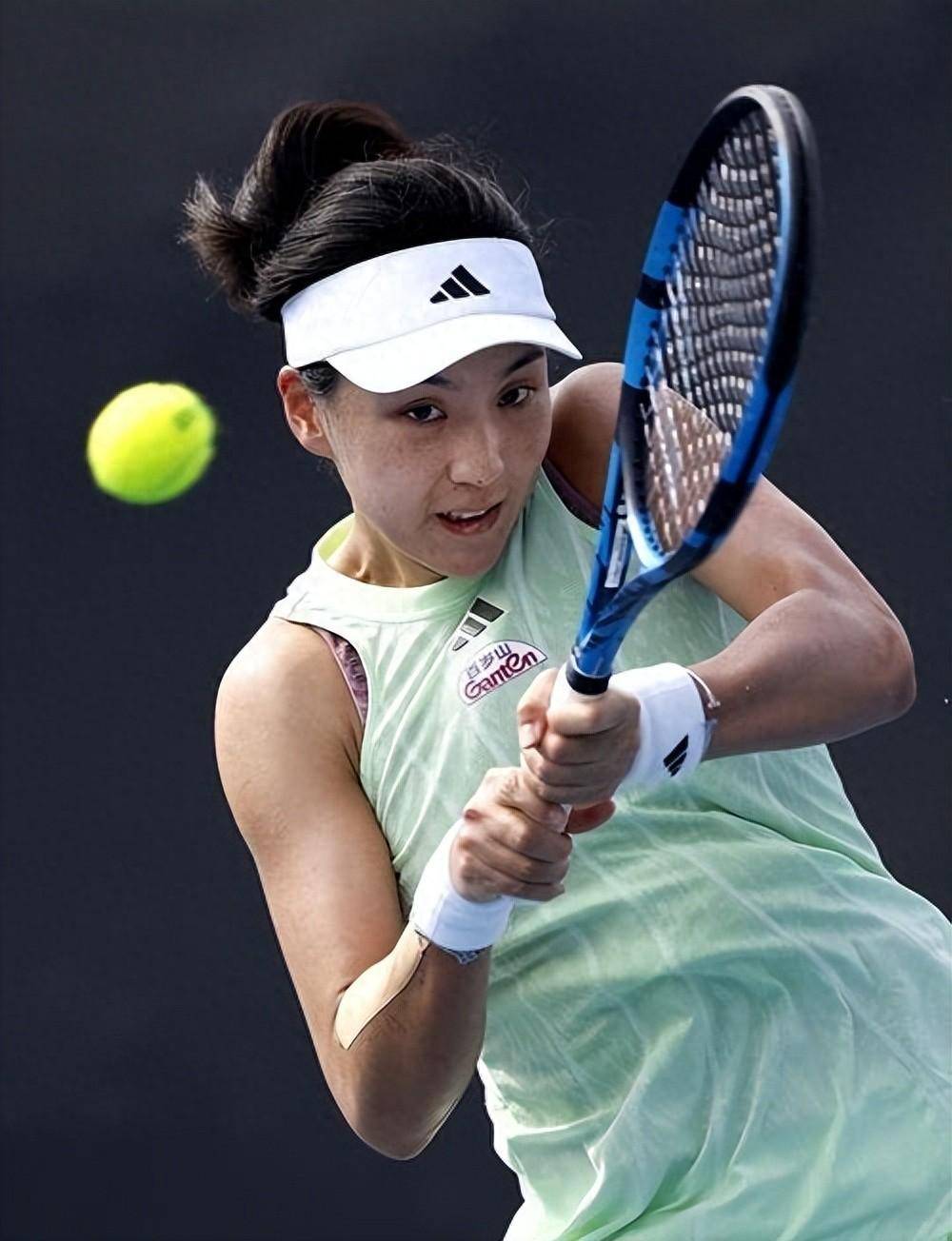 然而近年来 然而近年来